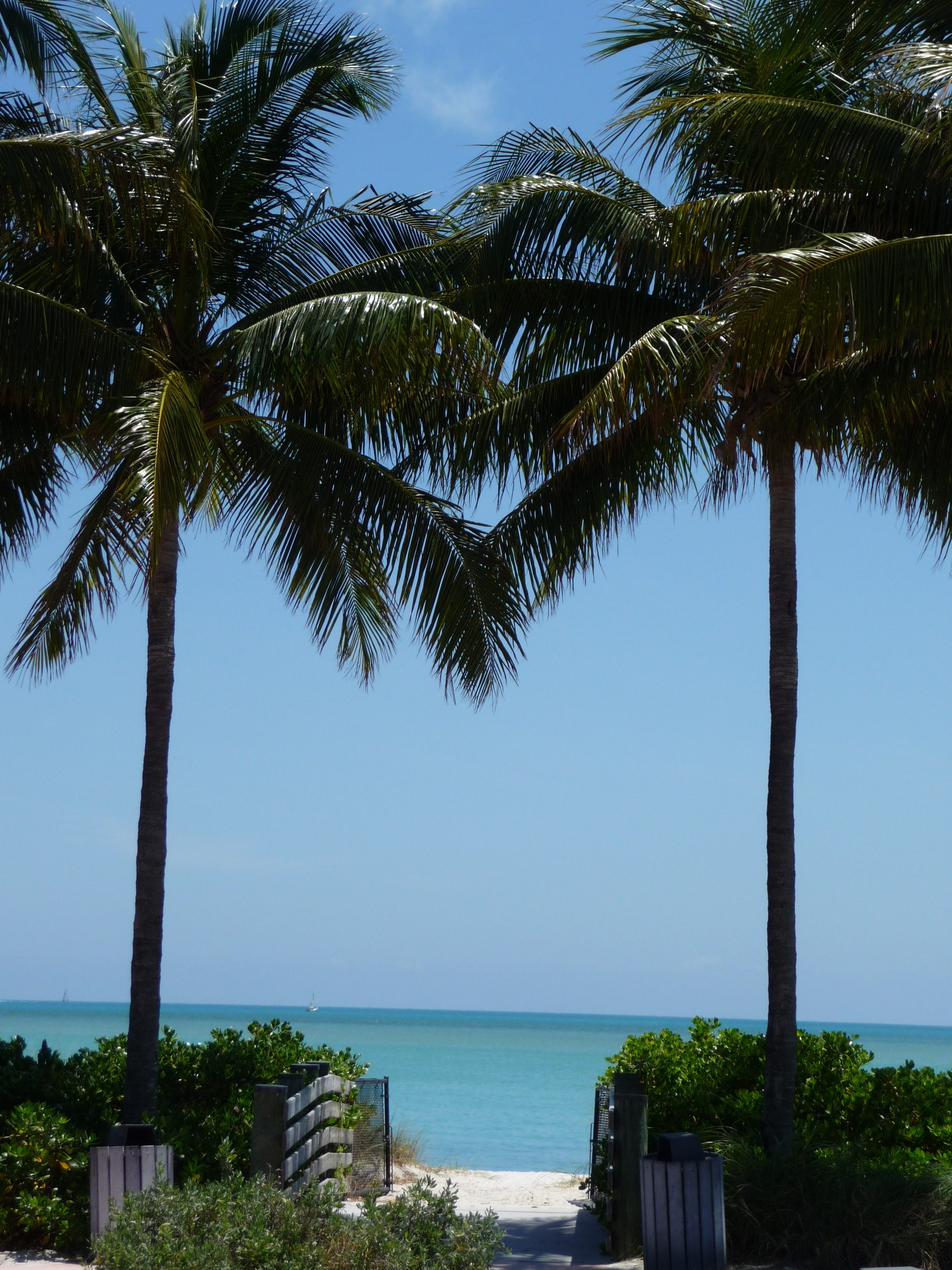 sombrero beach marathon palmiers