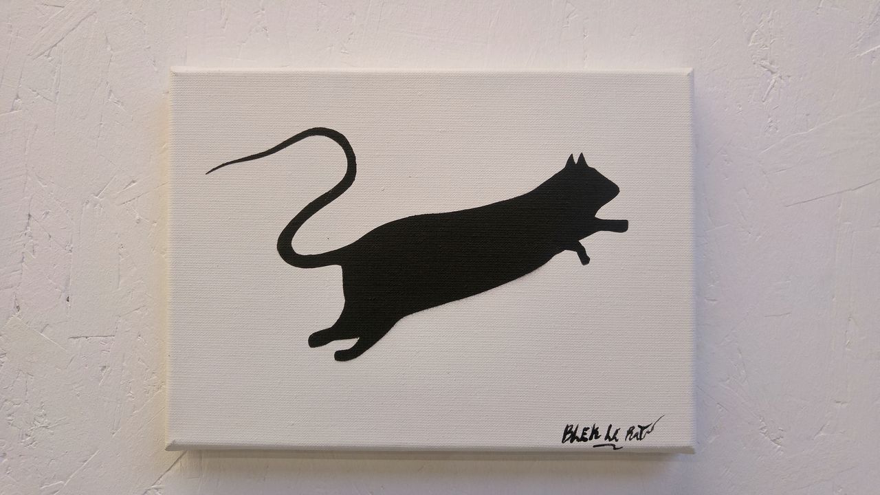 happycurio aerosol street art blek le rat expo