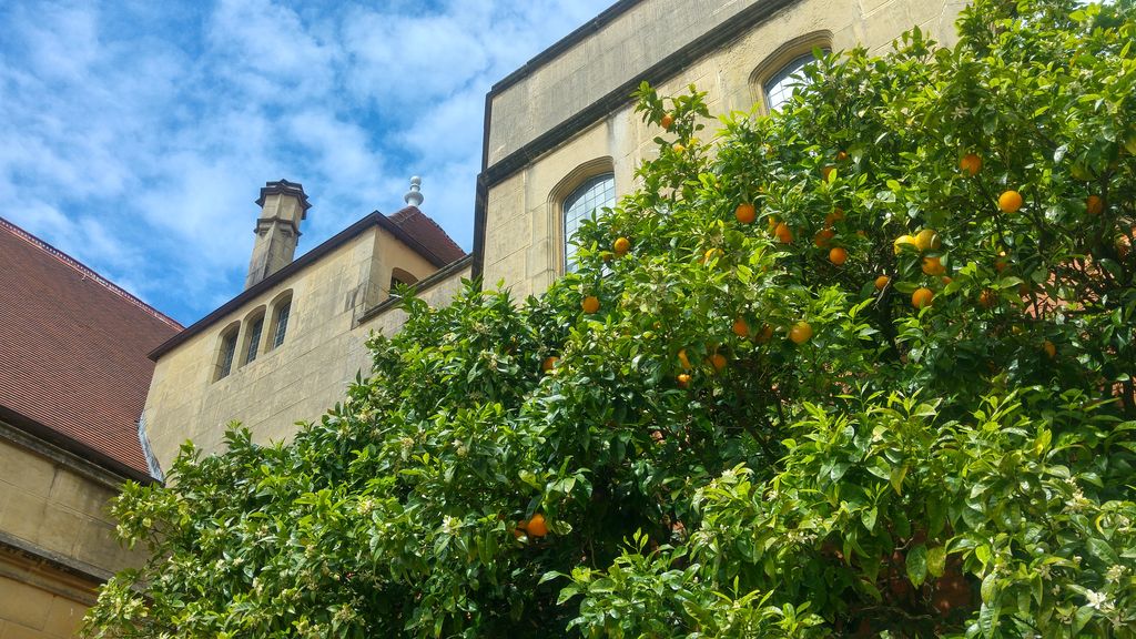 miramar orangers jardin san sebastian
