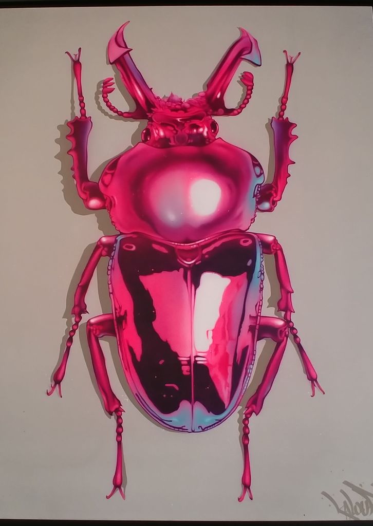 kalouf scarabee bestiaire