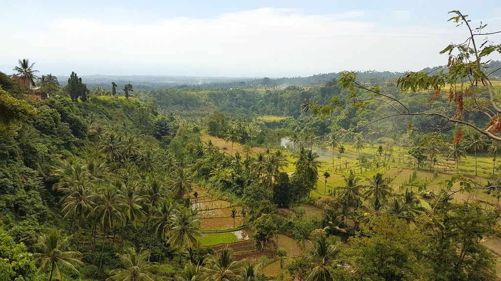 senaru forest lombok