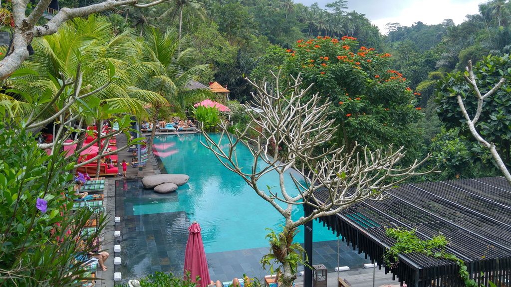 grande piscine du jungle fish bali