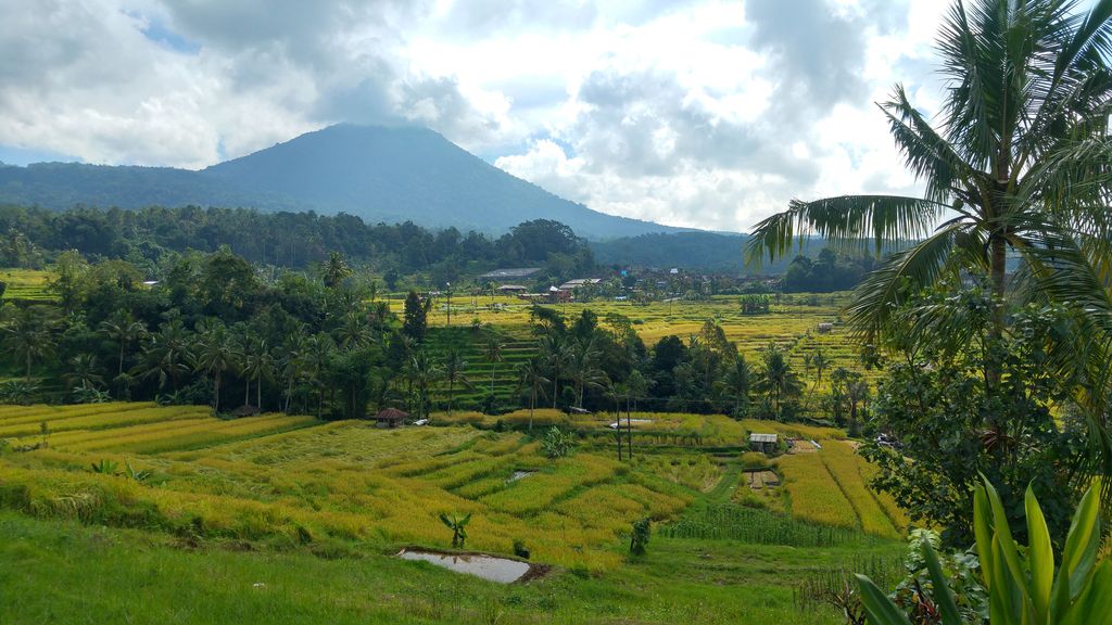 riziere de jatiluwih avec vue sur montagne de bali