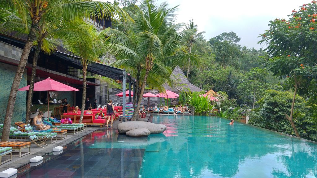 piscine en pleine jungle vers ubud