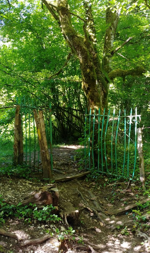 grille de portail dans les bois