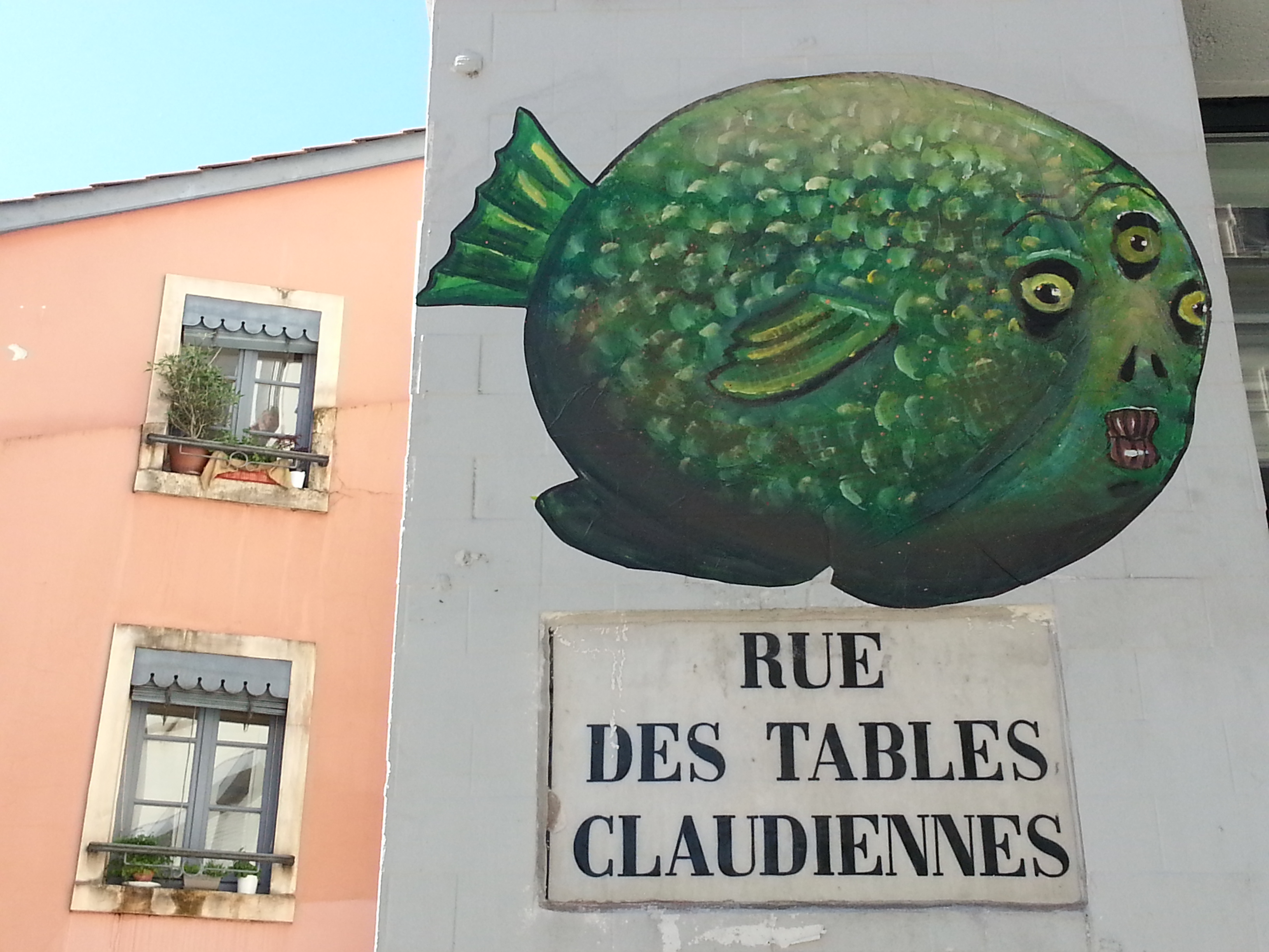 street art pentes croix rousse lyon 11 poisson