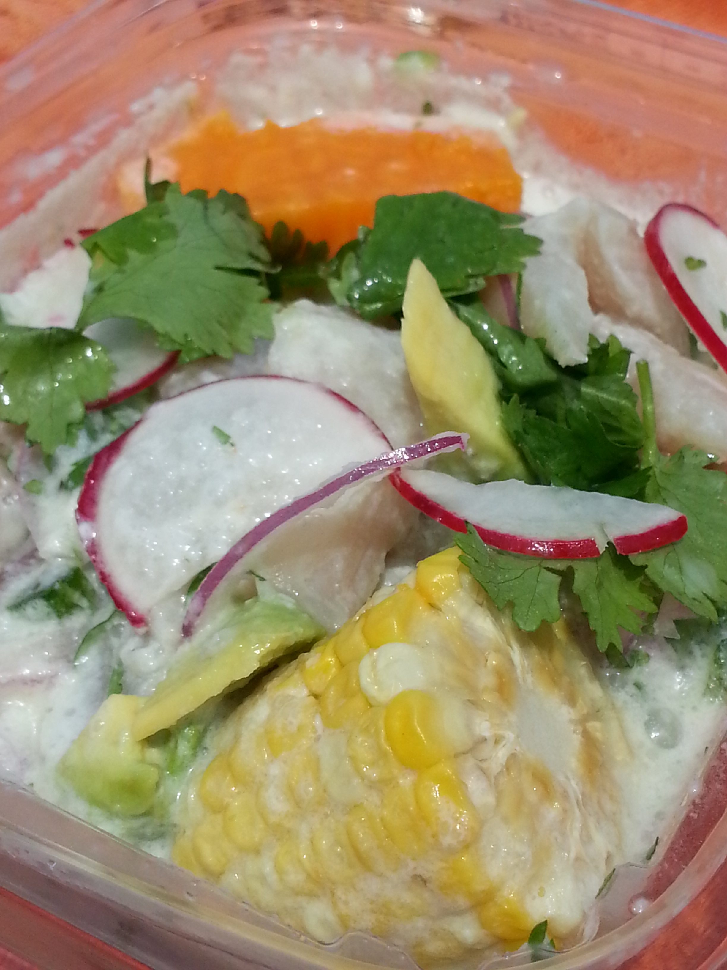 20160416_193749 my ceviche