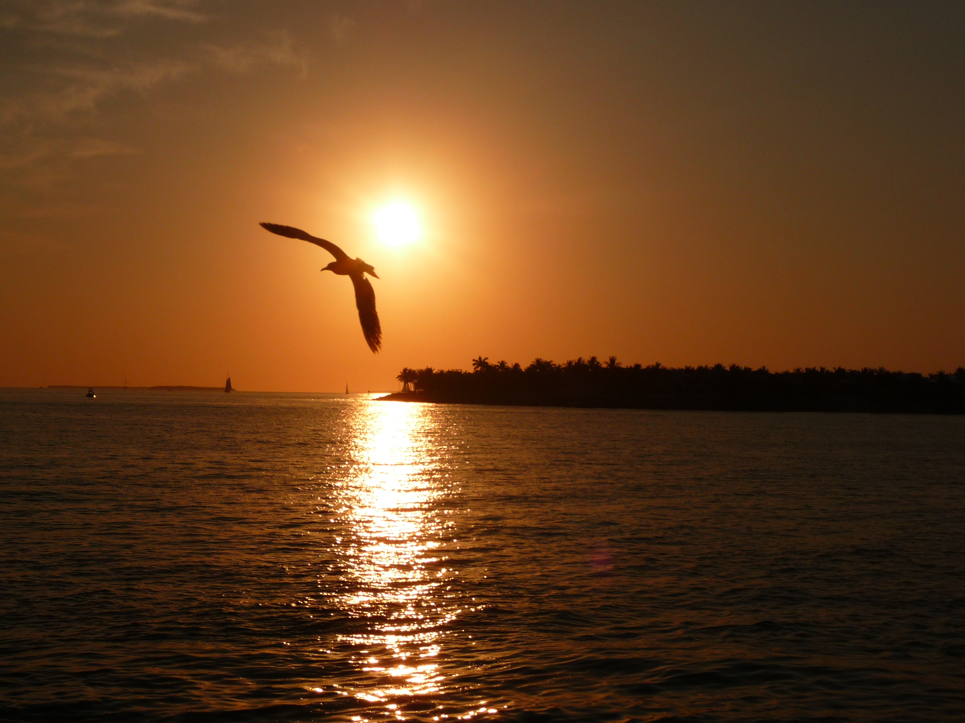 coucher de soleil key west sunset