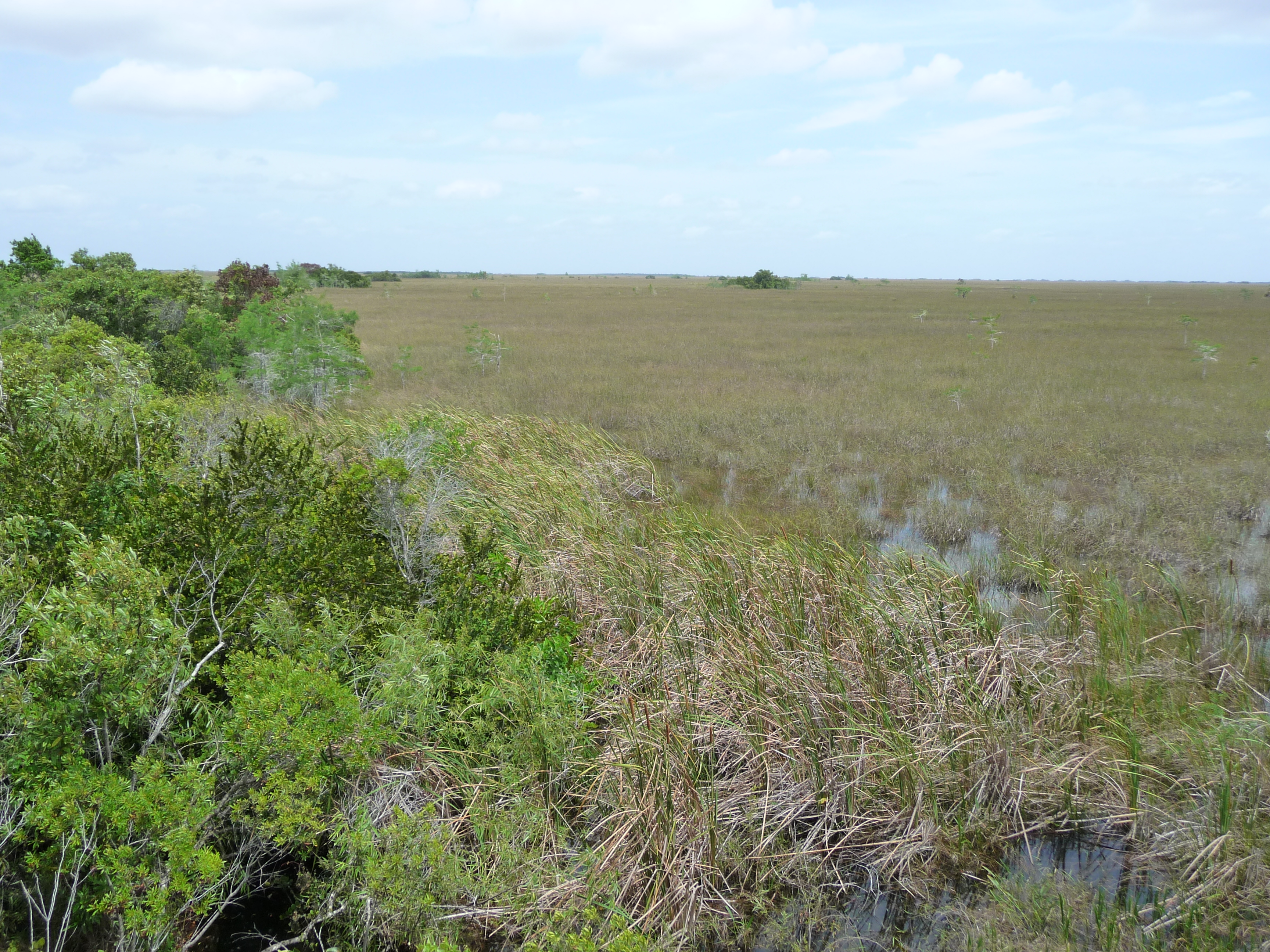 everglades marecages pa hay okee overlook