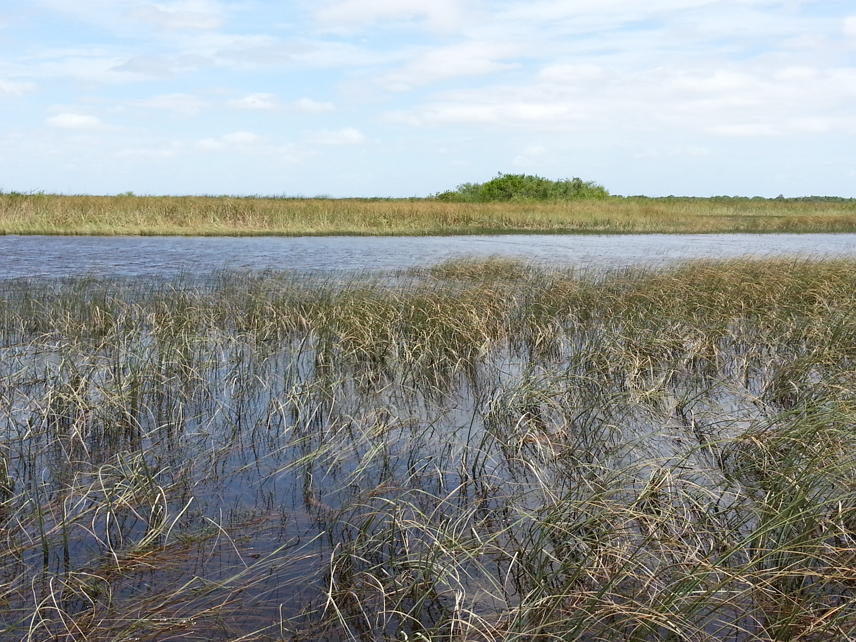 sawgrass everglades floride