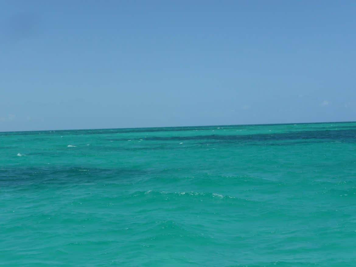 snorkeling avec keys diver key largo