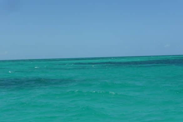 snorkeling avec keys diver key largo