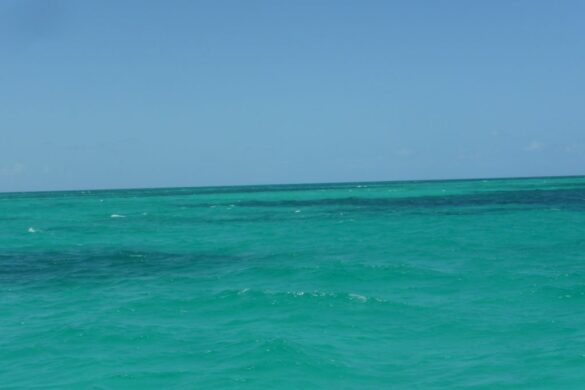 snorkeling avec keys diver key largo