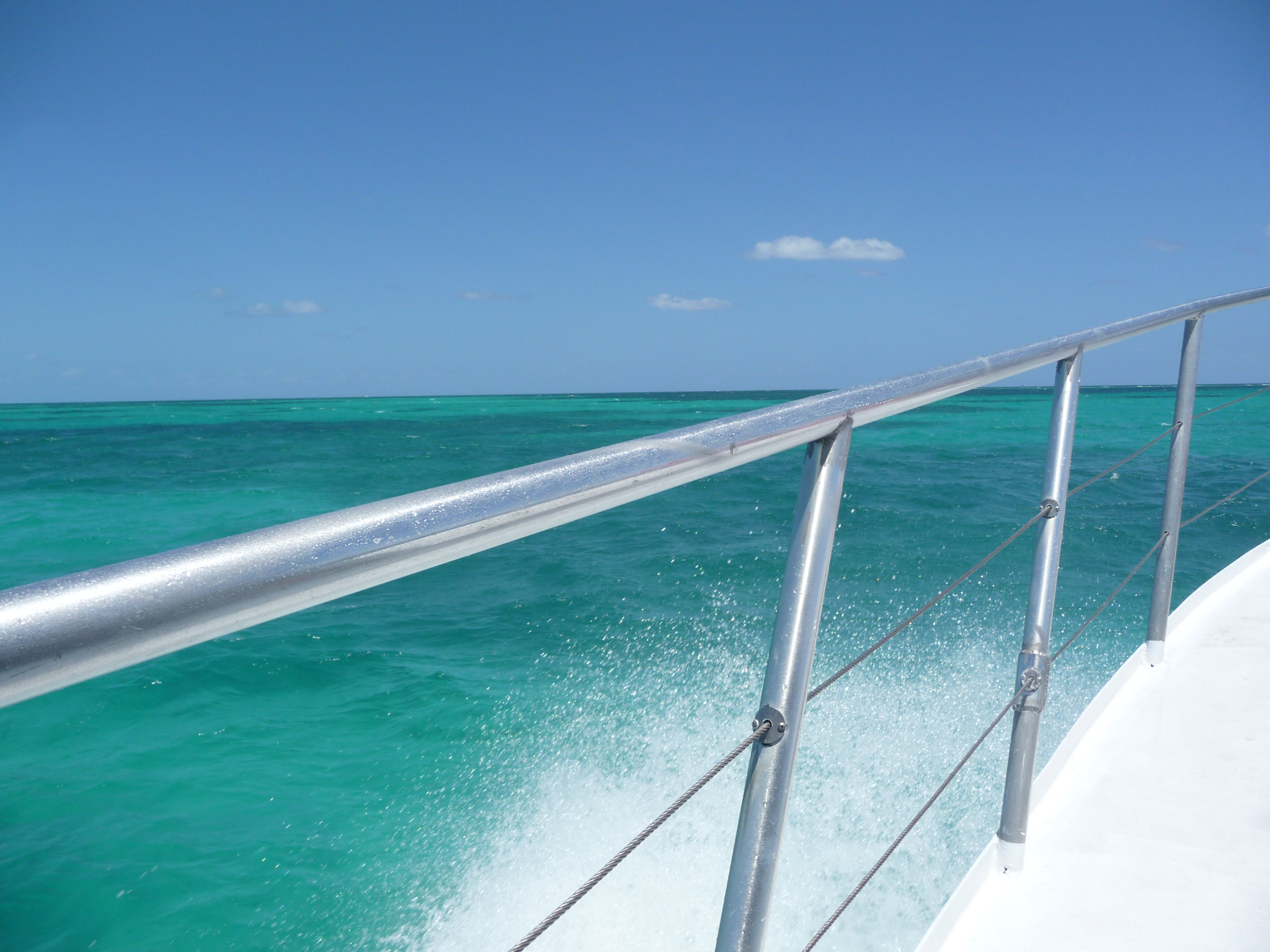 snorkeling keys diver key largo floride