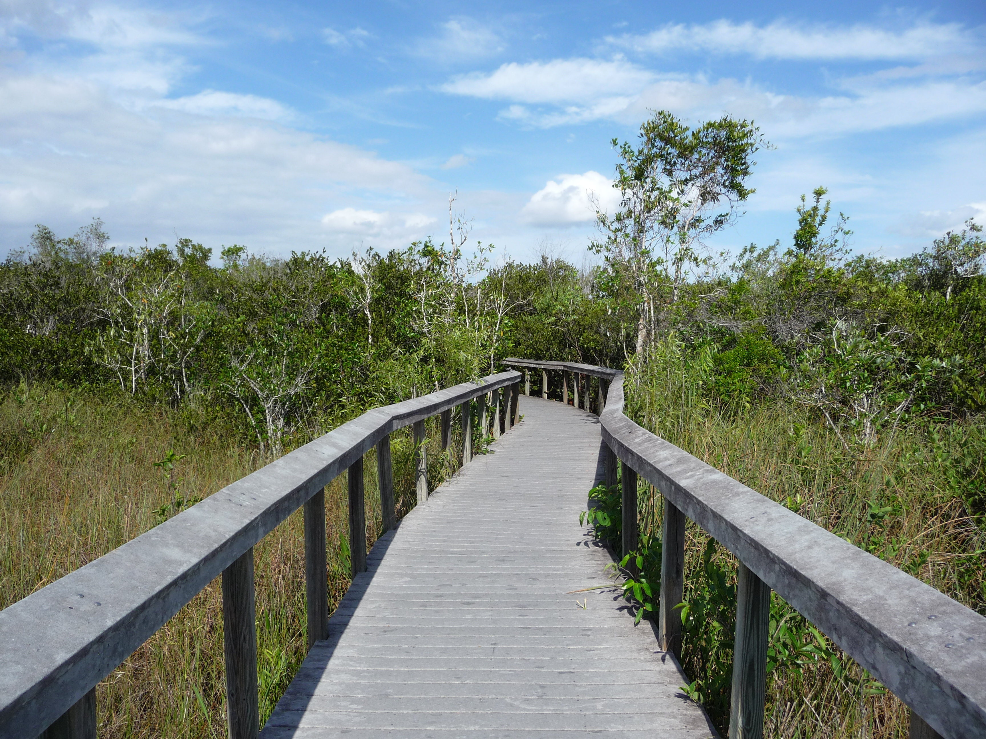 trail everglades shark valley floride