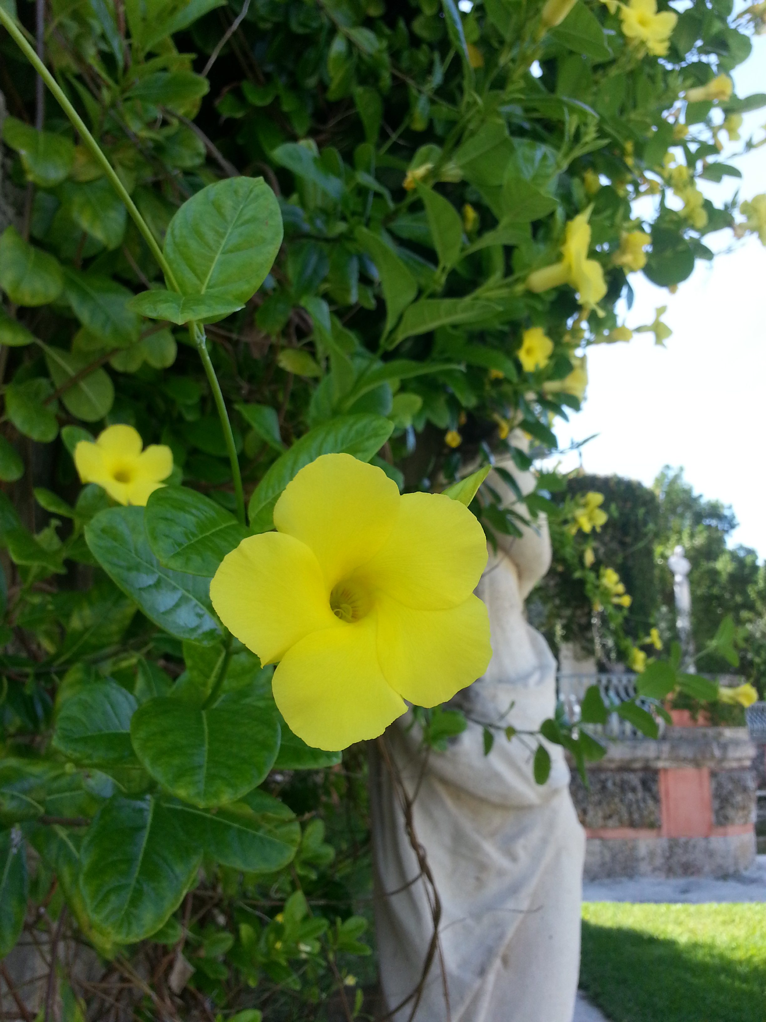 vizcaya gardens miami