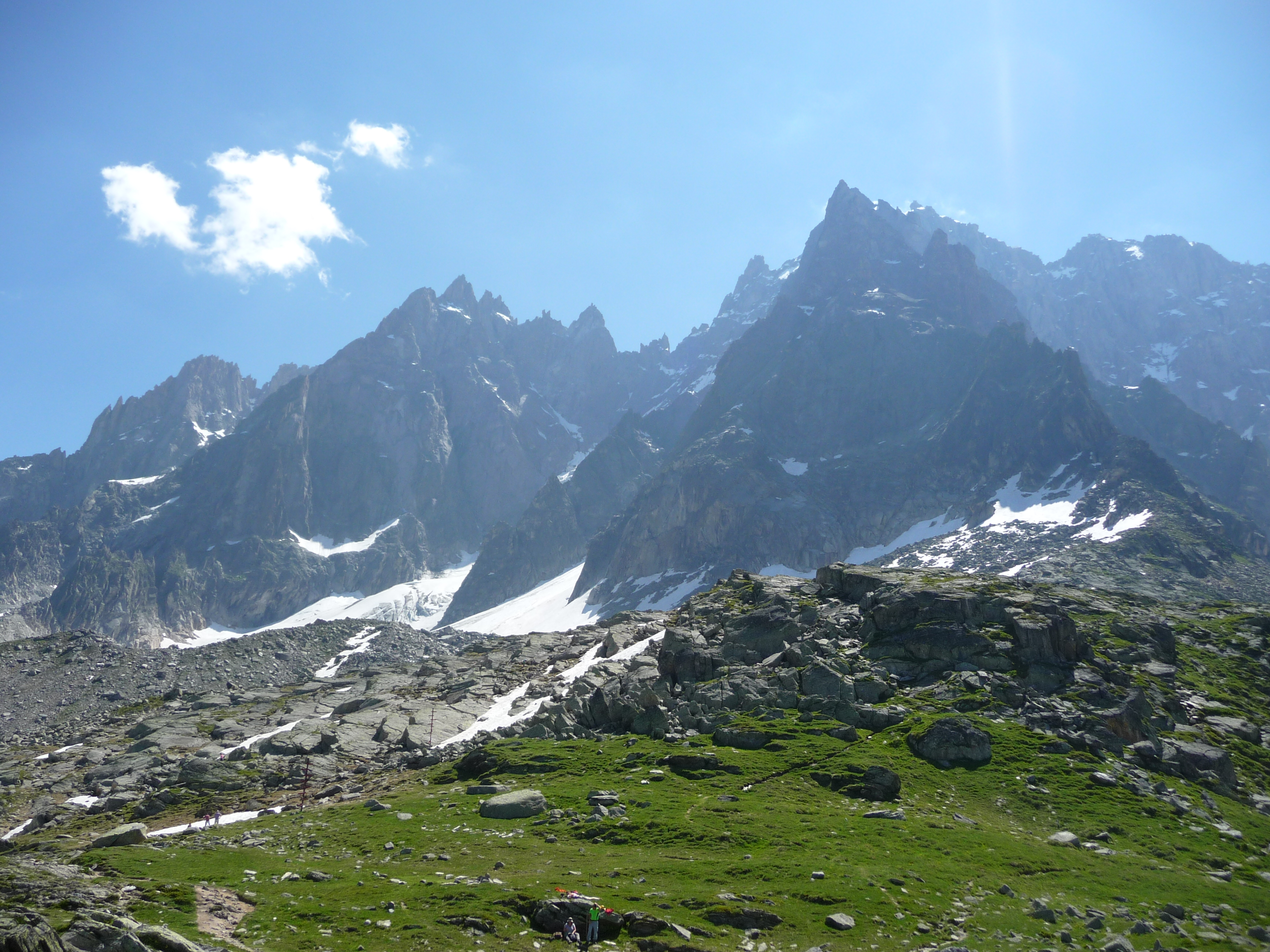 entre verdure et neige mont blanc