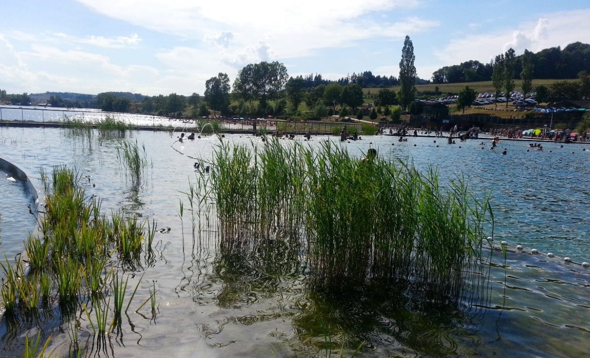 lac des sapins cublize piscine bio rhone alpes