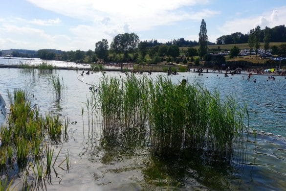 lac des sapins cublize piscine bio rhone alpes