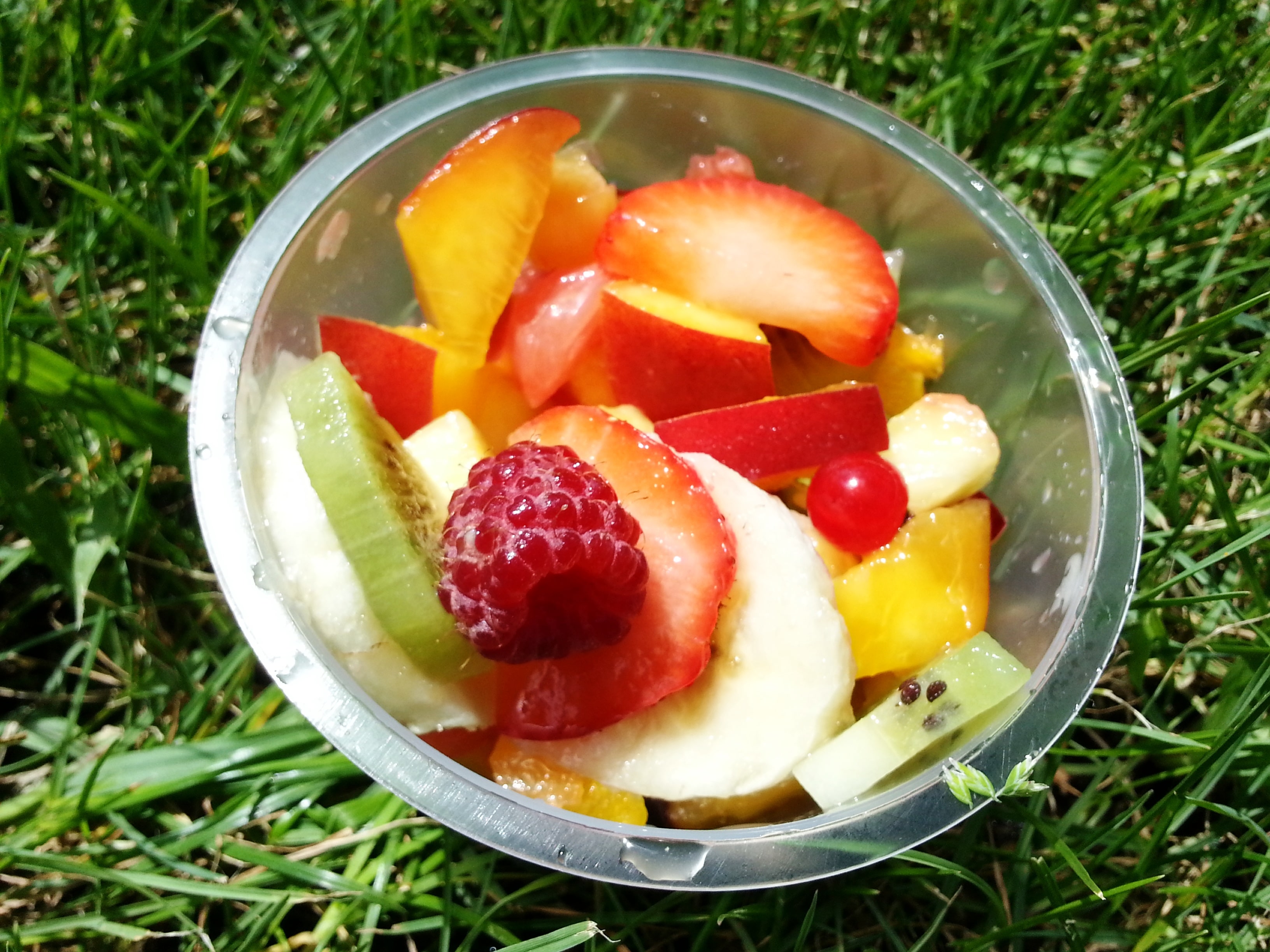 le petit benjamin food truck salade de fruits frais monts d'or lyon