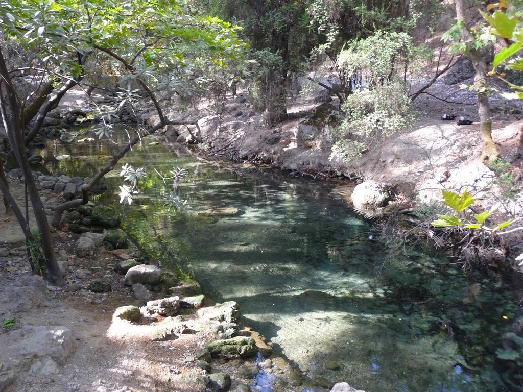 7 sources rhodes