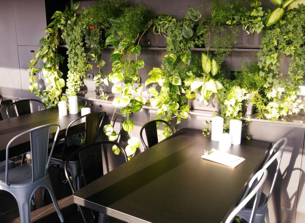 Les Muses de l'opéra bar éphémère avec vue panoramique HappyCurio