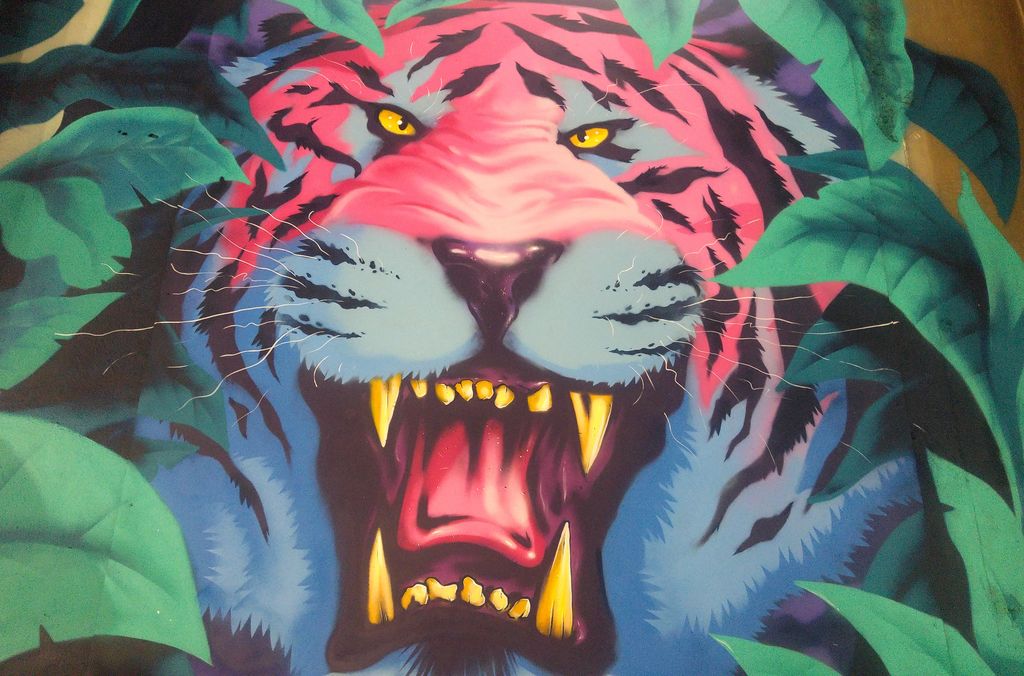 zoo art show tigre azed street art lyonnais