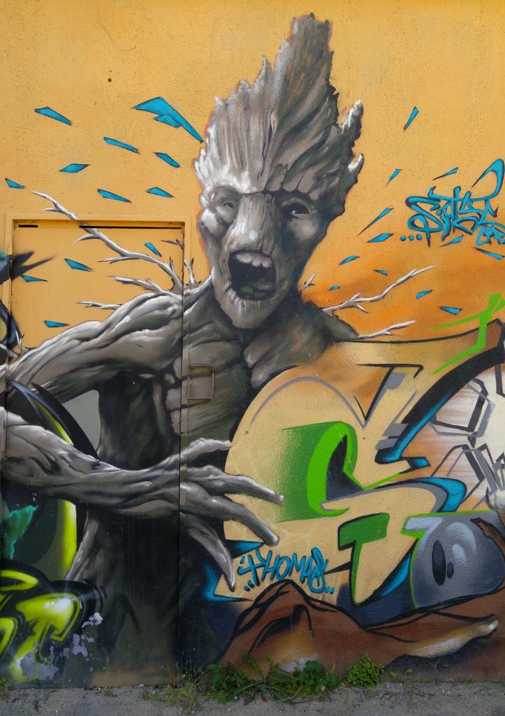 happycurio.com groot street art darwin bordeaux