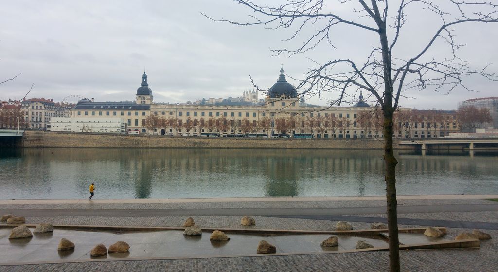 quai du rhone lyon