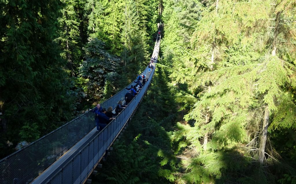 road trip canada capilano bridge