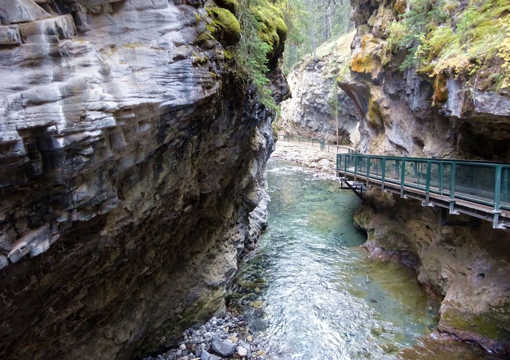 balade long de la riviere johnston canyon