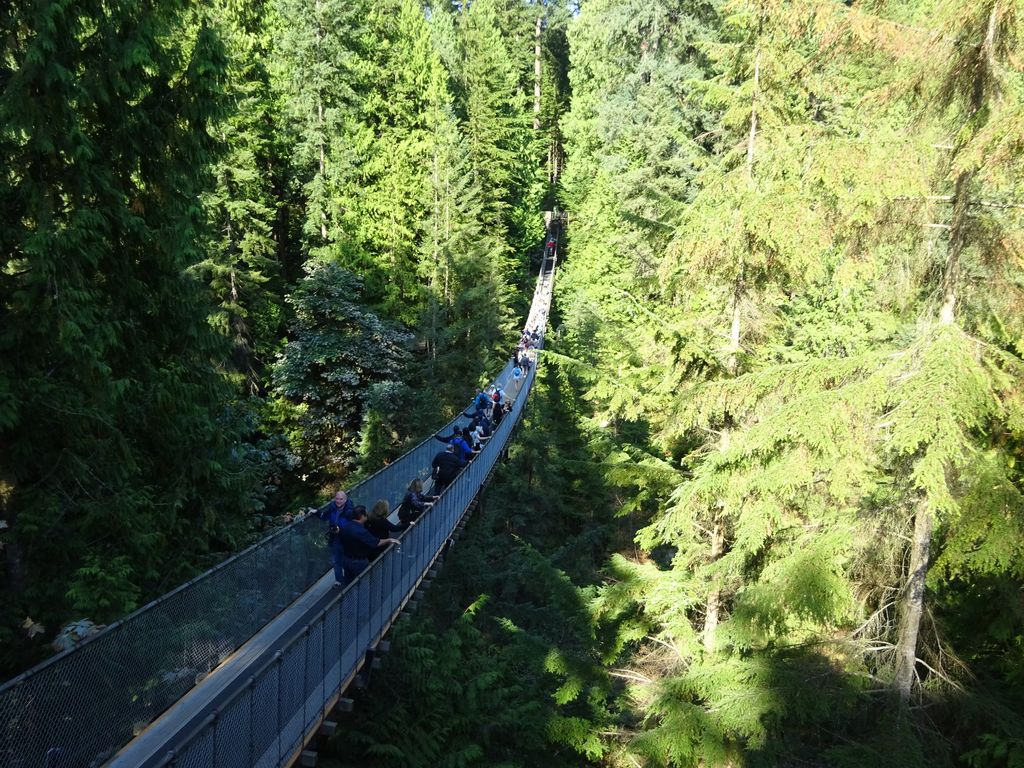 capilano suspension bridge west vancouver