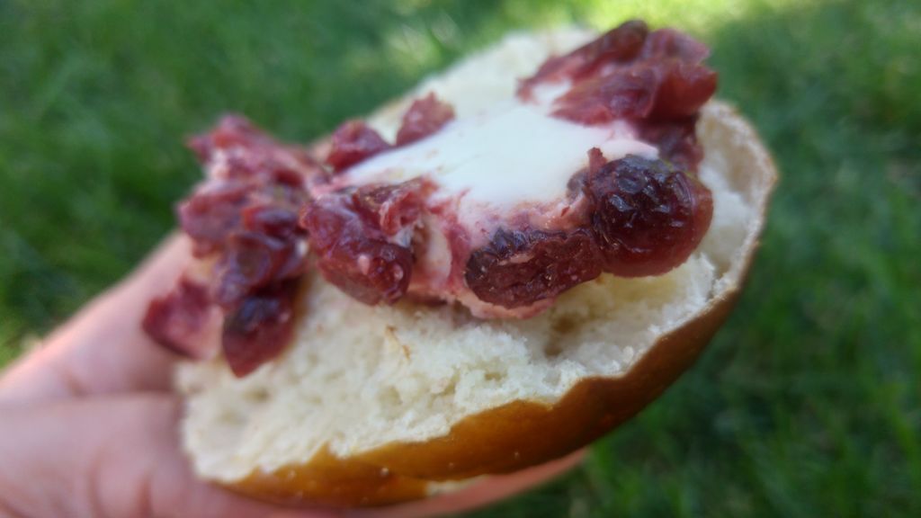 cranberries fromage