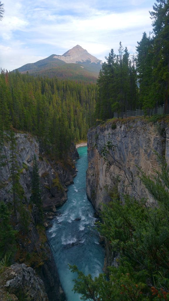 nature canada