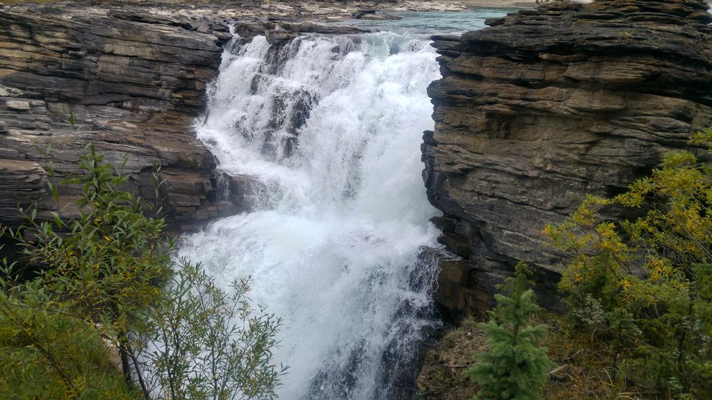 que voir à jasper national park