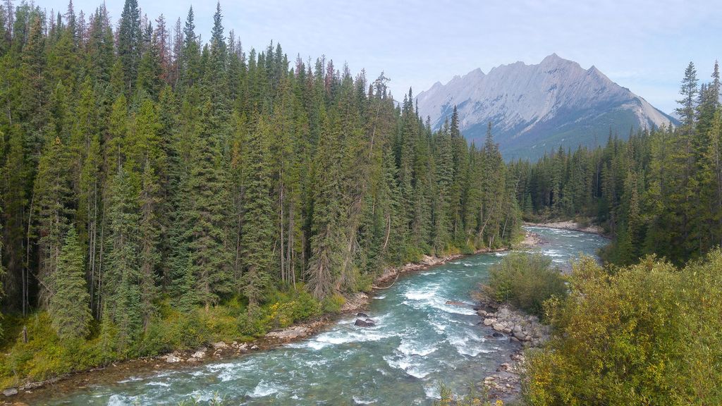 river jasper national park