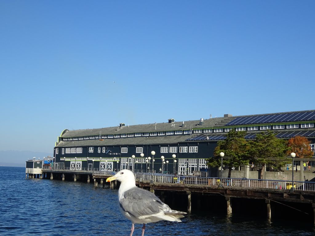 seattle aquarium