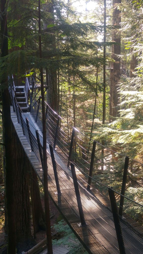 treetop adventures capilano vancouver