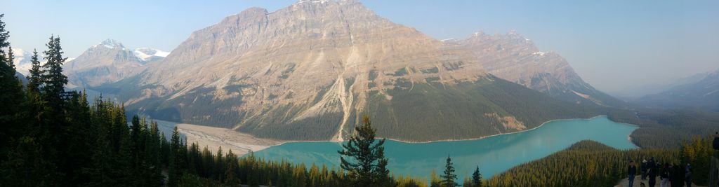 vue panoramique sur lac peyto