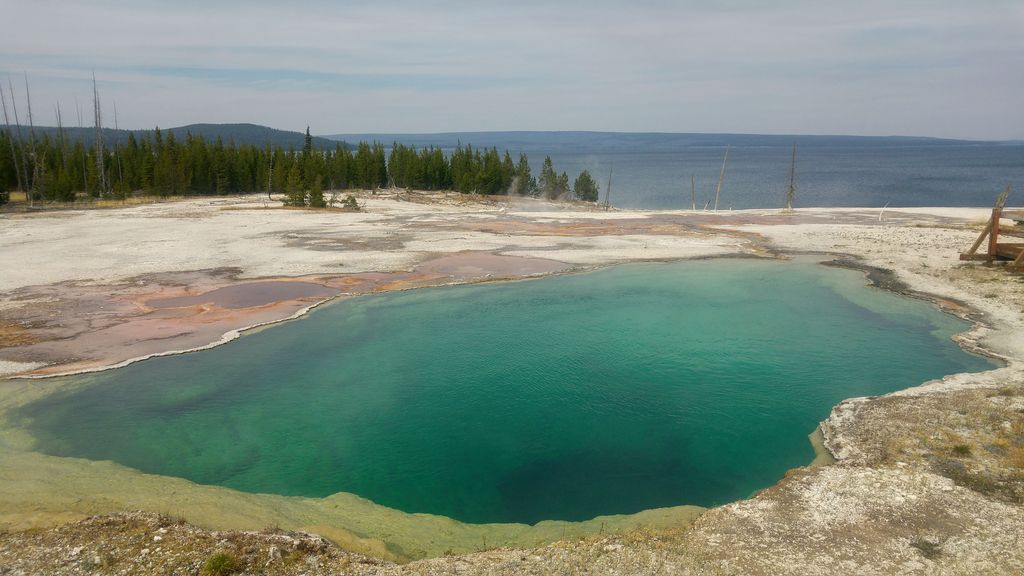 bassins eaux chaudes yellowstone