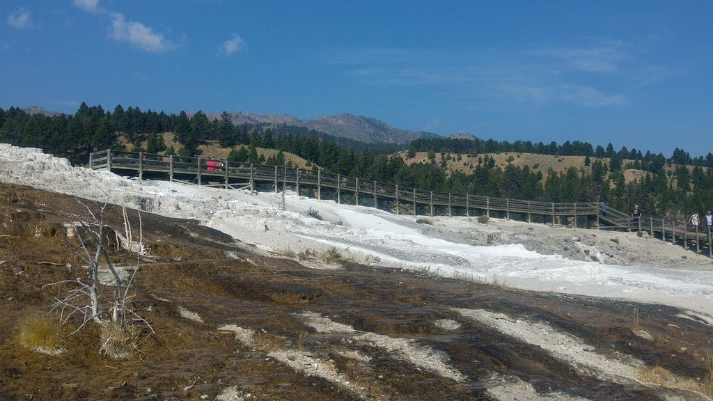 calcaire mammoth hot springs