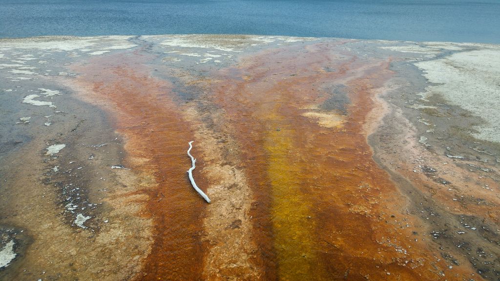 contraste de couleurs yellowstone