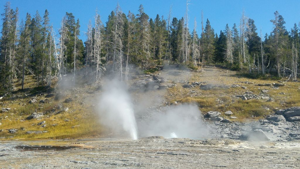 geyser en activité usa