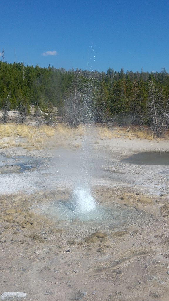 geyser en formation yellowstone national park