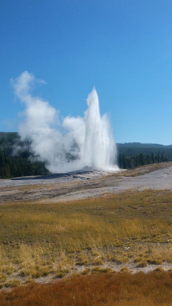 geyser yellowstone usa