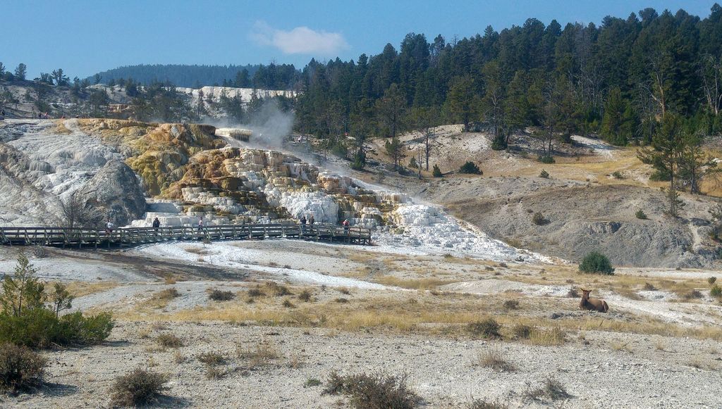 mammoth springs usa