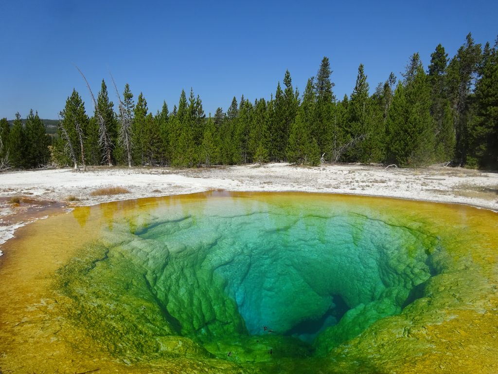 morning glory pool yellowstone