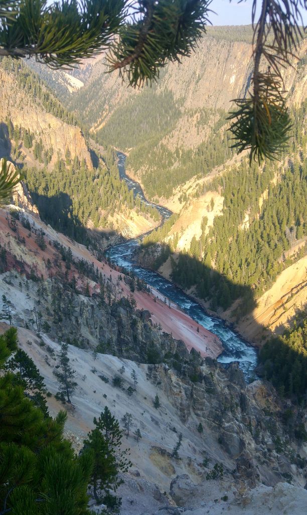 nature yellowstone