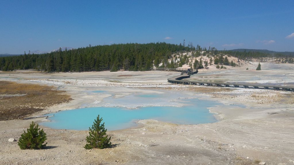 norris geyser basin balade nature