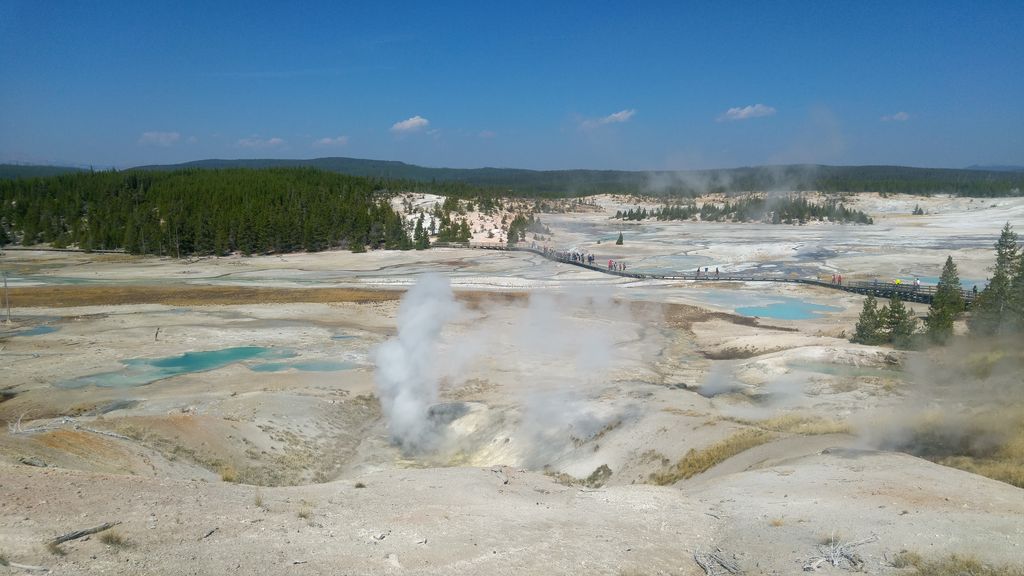 norris geyser basin yellowstone